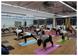 UED����-����Ʒ������